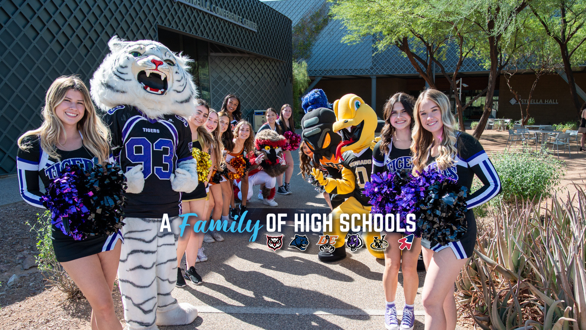  A Family of High Schools